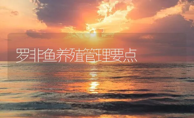 罗非鱼养殖管理要点 | 海水养殖技术