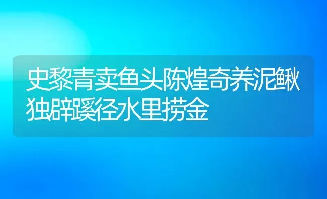 史黎青卖鱼头陈煌奇养泥鳅独辟蹊径水里捞金 | 动物养殖百科