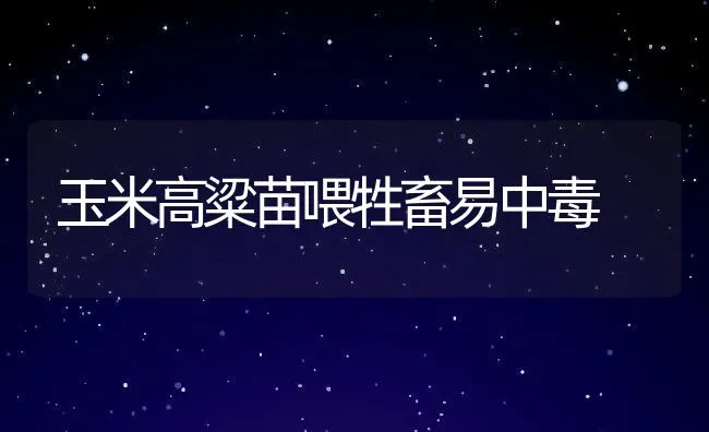 渝特大黄鳝人工养殖技术 | 海水养殖技术