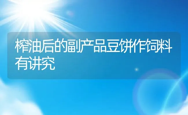 榨油后的副产品豆饼作饲料有讲究 | 动物养殖学堂