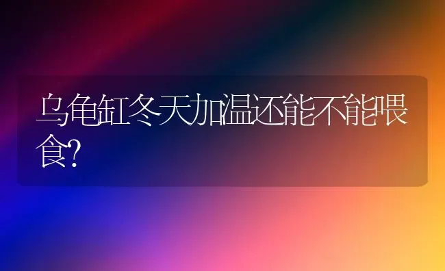 猫取名字带好运的意思？ | 动物养殖问答