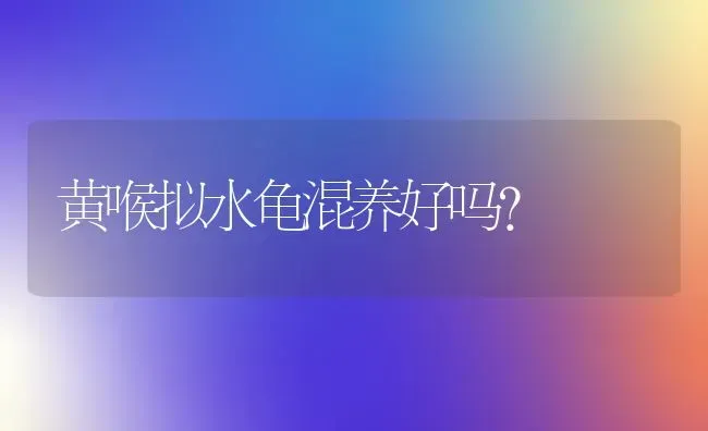 黄喉拟水龟混养好吗？ | 动物养殖问答