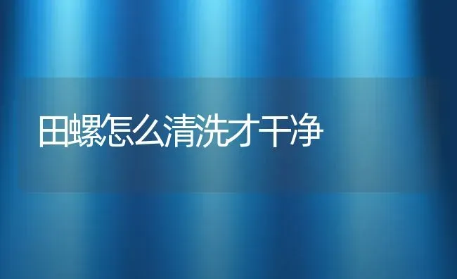 田螺怎么清洗才干净 | 动物养殖百科