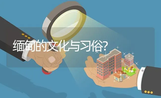 缅甸的文化与习俗？ | 鱼类宠物饲养