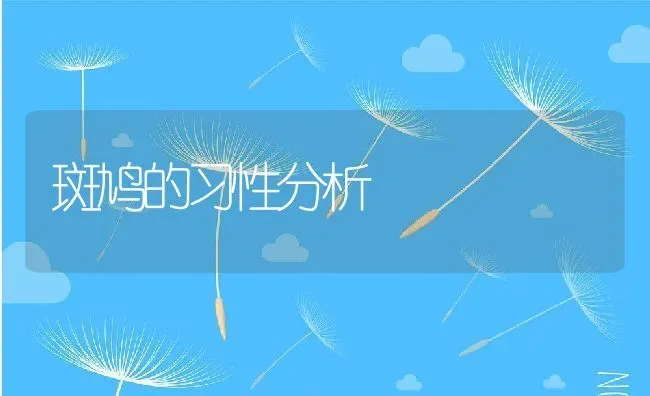 斑鸠的习性分析 | 动物养殖百科