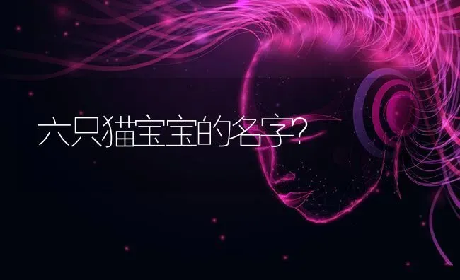 六只猫宝宝的名字？ | 动物养殖问答