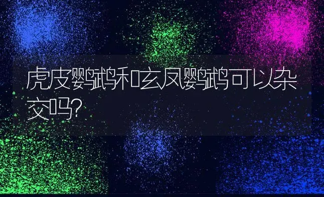 虎皮鹦鹉和玄凤鹦鹉可以杂交吗？ | 动物养殖问答