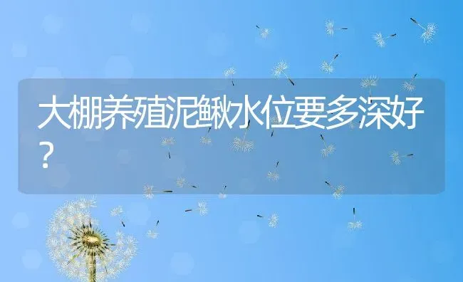 大棚养殖泥鳅水位要多深好？ | 动物养殖百科