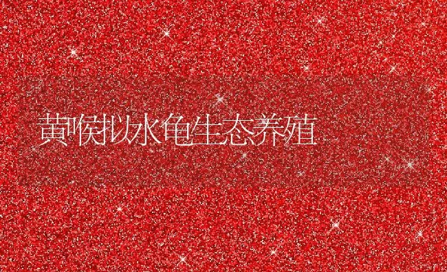 黄喉拟水龟生态养殖 | 动物养殖饲料