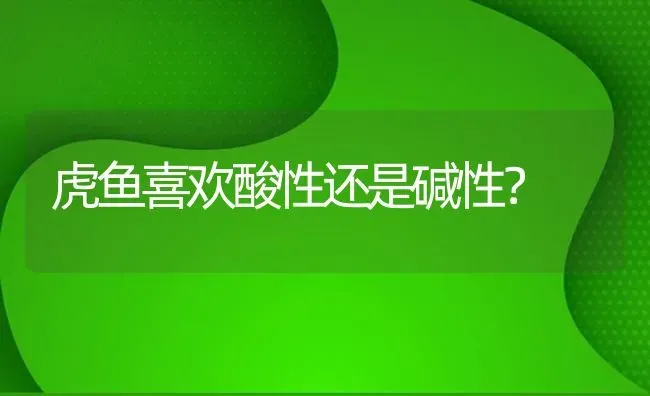 虎鱼喜欢酸性还是碱性？ | 鱼类宠物饲养