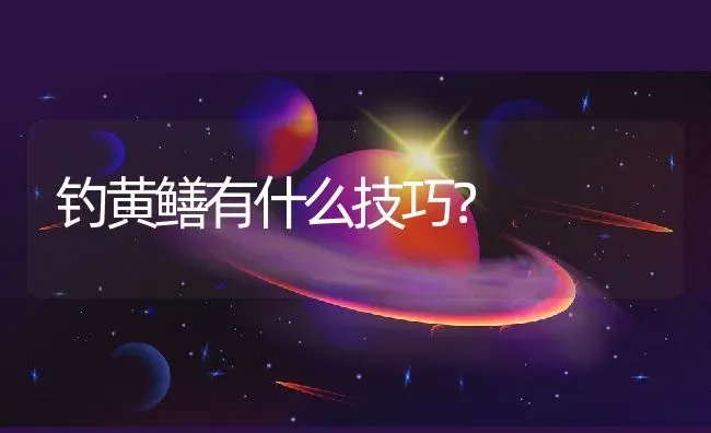 钓黄鳝有什么技巧？ | 动物养殖百科