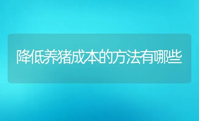 降低养猪成本的方法有哪些 | 动物养殖百科