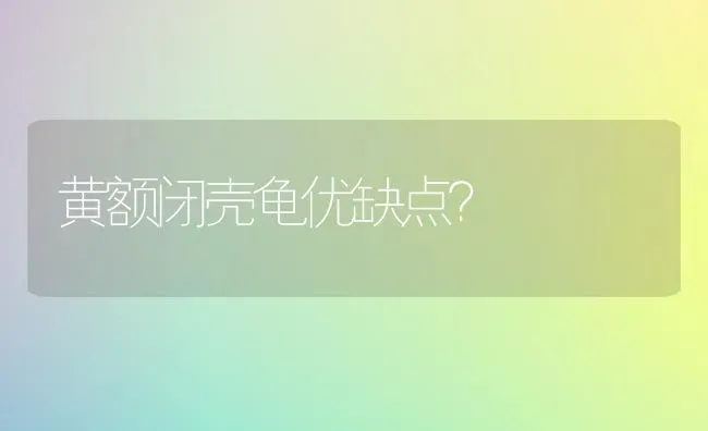 黄额闭壳龟优缺点？ | 动物养殖问答