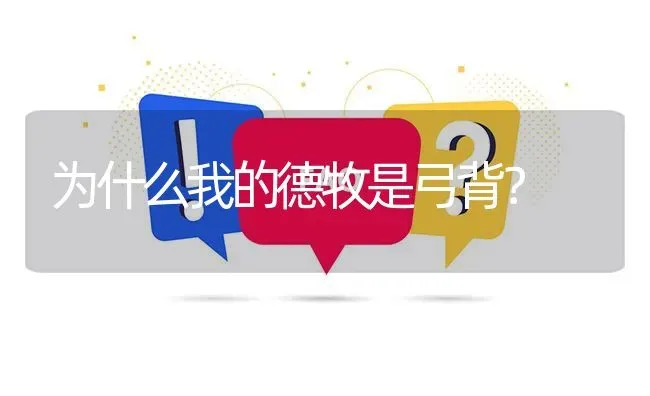 为什么我的德牧是弓背？ | 动物养殖问答