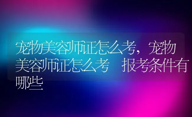 宠物美容师证怎么考,宠物美容师证怎么考 报考条件有哪些 | 宠物百科知识