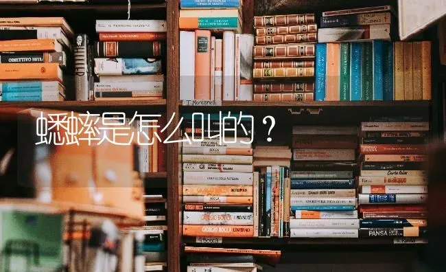 蟋蟀是怎么叫的？ | 动物养殖问答