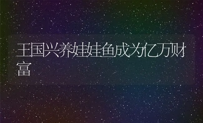 王国兴养娃娃鱼成为亿万财富 | 动物养殖教程