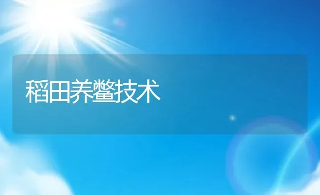 稻田养鳖技术 | 动物养殖百科