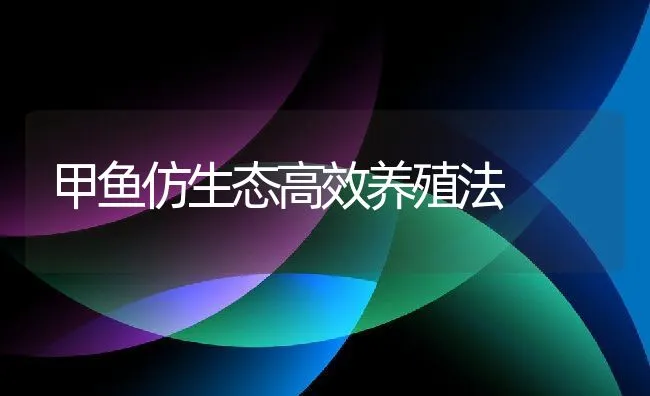 甲鱼仿生态高效养殖法 | 水产养殖知识