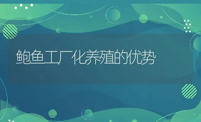 鲍鱼工厂化养殖的优势 | 动物养殖教程