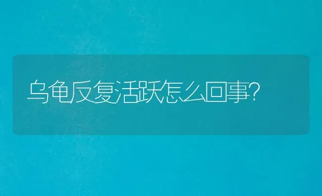 乌龟反复活跃怎么回事？ | 动物养殖问答