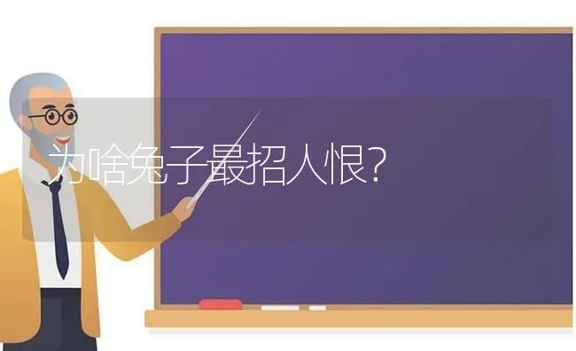 为啥兔子最招人恨？ | 动物养殖问答