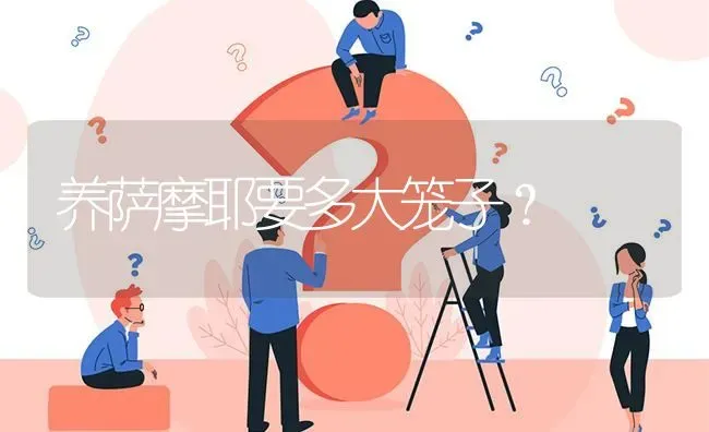 养萨摩耶要多大笼子？ | 动物养殖问答