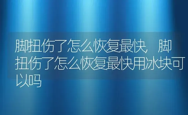 脚扭伤了怎么恢复最快,脚扭伤了怎么恢复最快用冰块可以吗 | 宠物百科知识