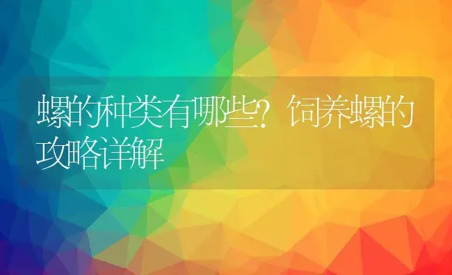 螺的种类有哪些？饲养螺的攻略详解 | 动物养殖百科