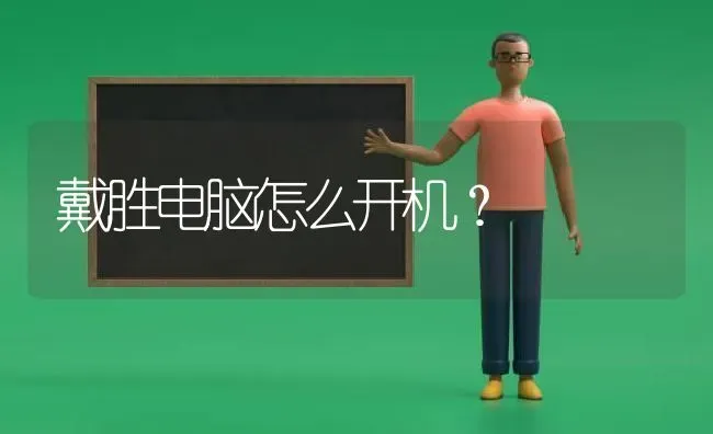 戴胜电脑怎么开机？ | 动物养殖问答