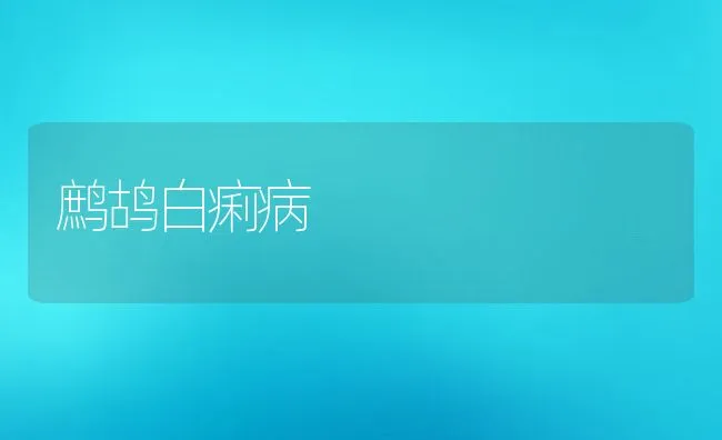 鳜鱼养殖技术 | 海水养殖技术