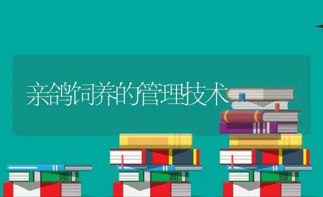 亲鸽饲养的管理技术 | 水产养殖知识