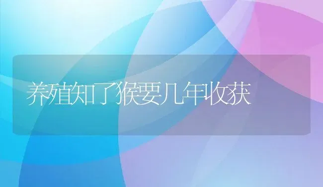 养殖知了猴要几年收获 | 动物养殖百科