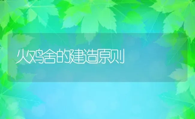 火鸡舍的建造原则 | 动物养殖教程