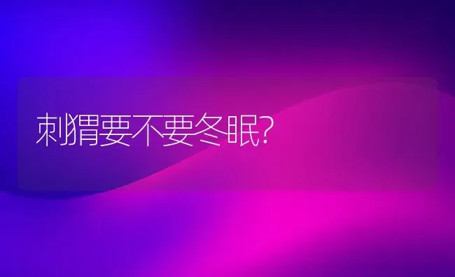 刺猬要不要冬眠？ | 动物养殖问答