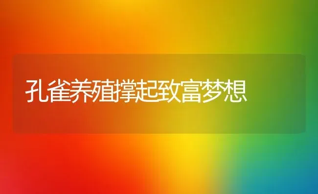 孔雀养殖撑起致富梦想 | 特种养殖技术