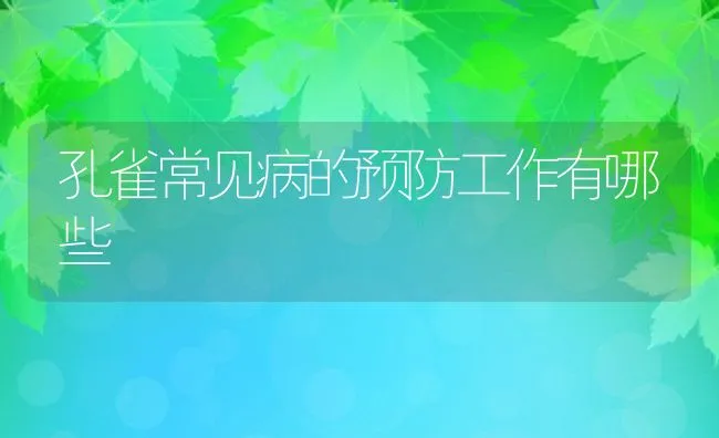 孔雀常见病的预防工作有哪些 | 水产养殖知识