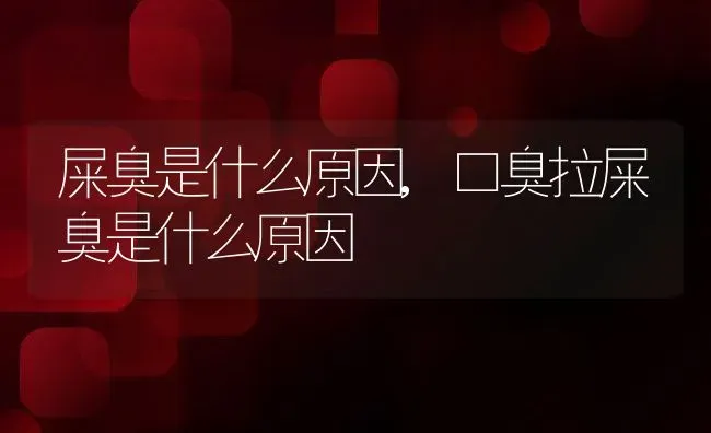 屎臭是什么原因,口臭拉屎臭是什么原因 | 宠物百科知识