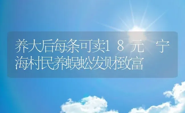 养大后每条可卖18元 宁海村民养蜈蚣发财致富 | 动物养殖教程