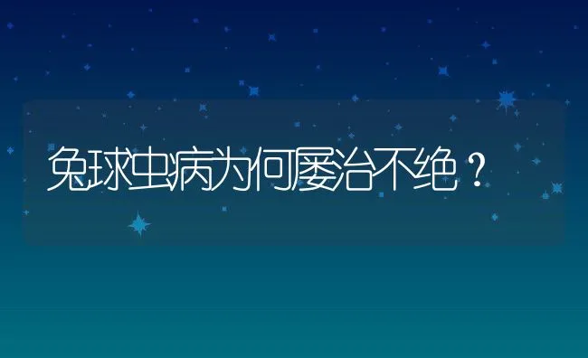 兔球虫病为何屡治不绝？ | 动物养殖学堂