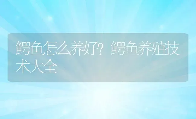 鳄鱼怎么养好？鳄鱼养殖技术大全 | 动物养殖百科