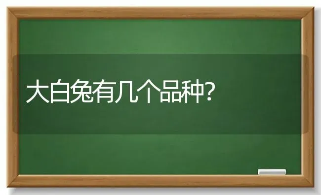 大白兔有几个品种？ | 动物养殖问答