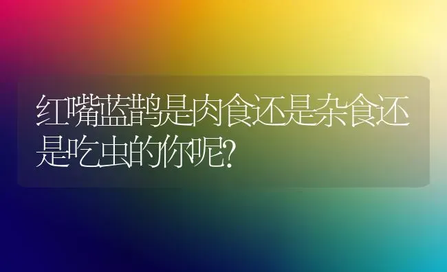 红嘴蓝鹊是肉食还是杂食还是吃虫的你呢？ | 动物养殖问答