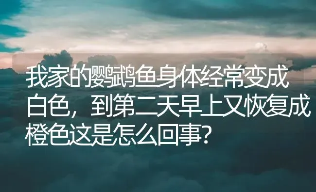 我家的鹦鹉鱼身体经常变成白色，到第二天早上又恢复成橙色这是怎么回事？ | 鱼类宠物饲养