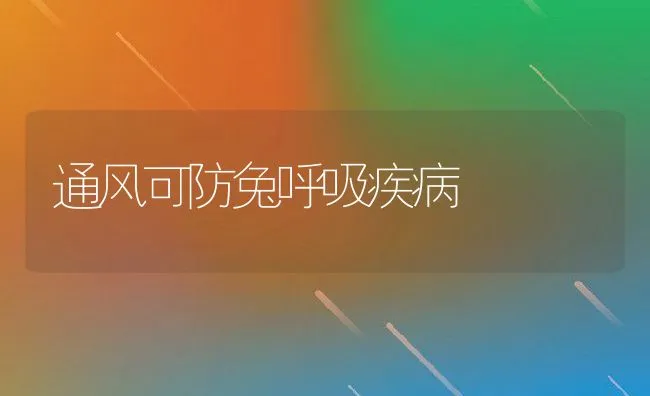 通风可防兔呼吸疾病 | 动物养殖学堂