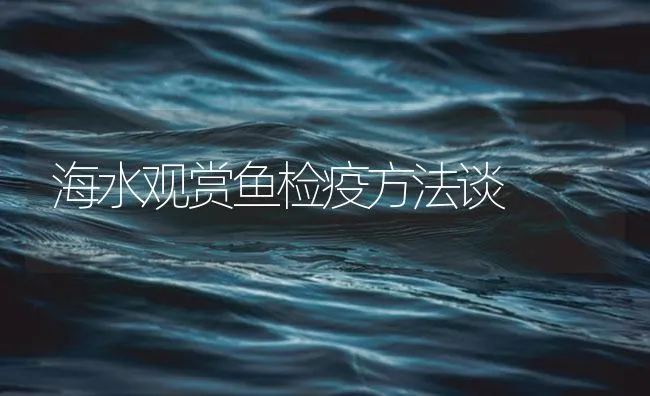 海水观赏鱼检疫方法谈 | 海水养殖技术