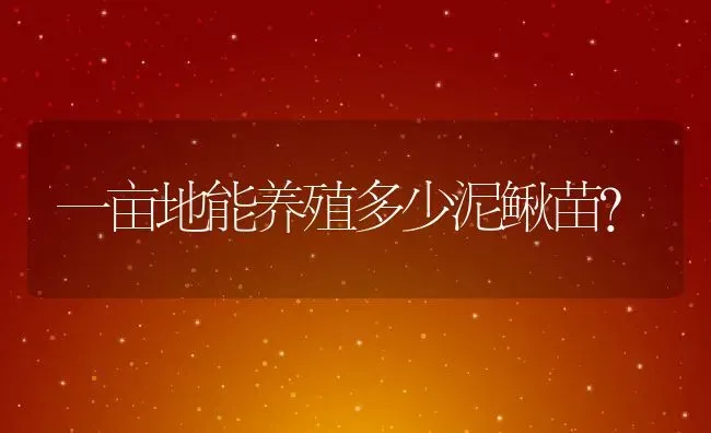 一只竹狸收入300多元！仿野生养殖竹鼠前景广阔 | 动物养殖百科