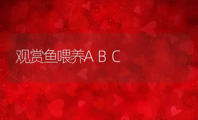 观赏鱼喂养ABC | 动物养殖饲料