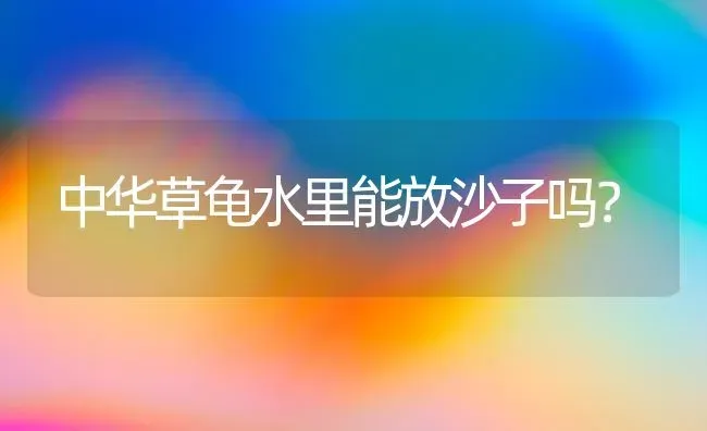 中华草龟水里能放沙子吗？ | 动物养殖问答