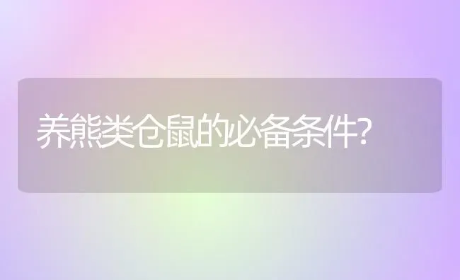 养熊类仓鼠的必备条件？ | 动物养殖问答